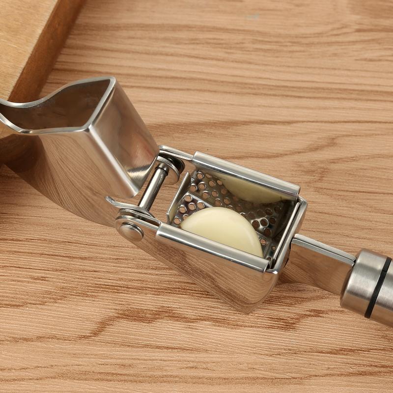 Stainless Steel Garlic Press & Mincer
