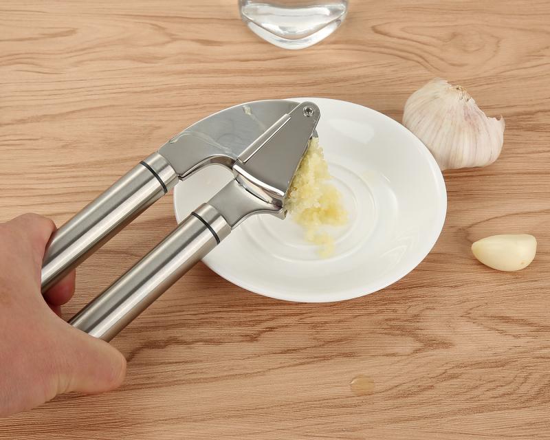 Stainless Steel Garlic Press & Mincer