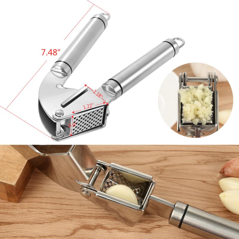 Stainless Steel Garlic Press & Mincer